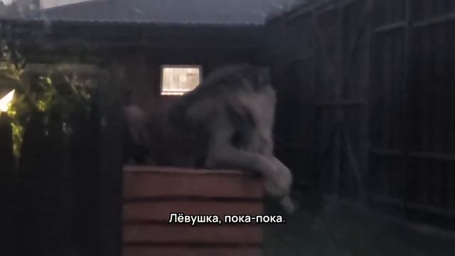 ANIF0497_24.08.2026_Видео от Светланы