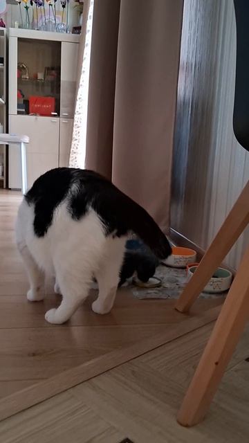 Няня для малыша😻