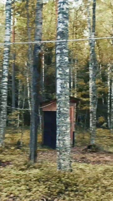Карелия.Медвьежегорск. О.Ладмозеро.