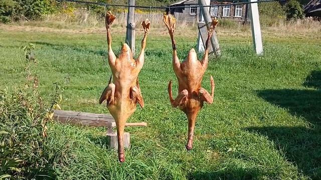 Гуси-лебеди