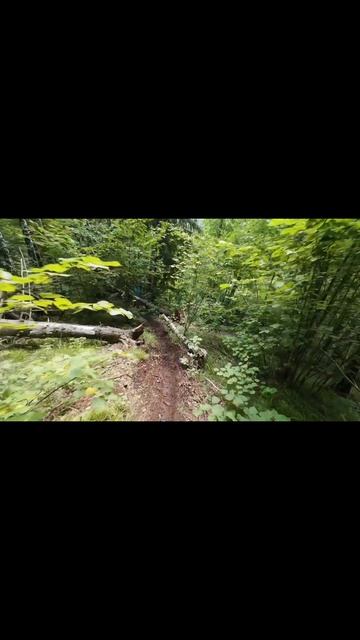 syrokenduro syrok365 enduro gr8 enduro гр8 эндурорек