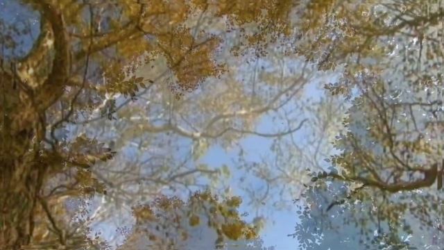 Прозрачных облаков спокойное движенье - Читает Ирина Максимова