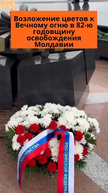 Участники 