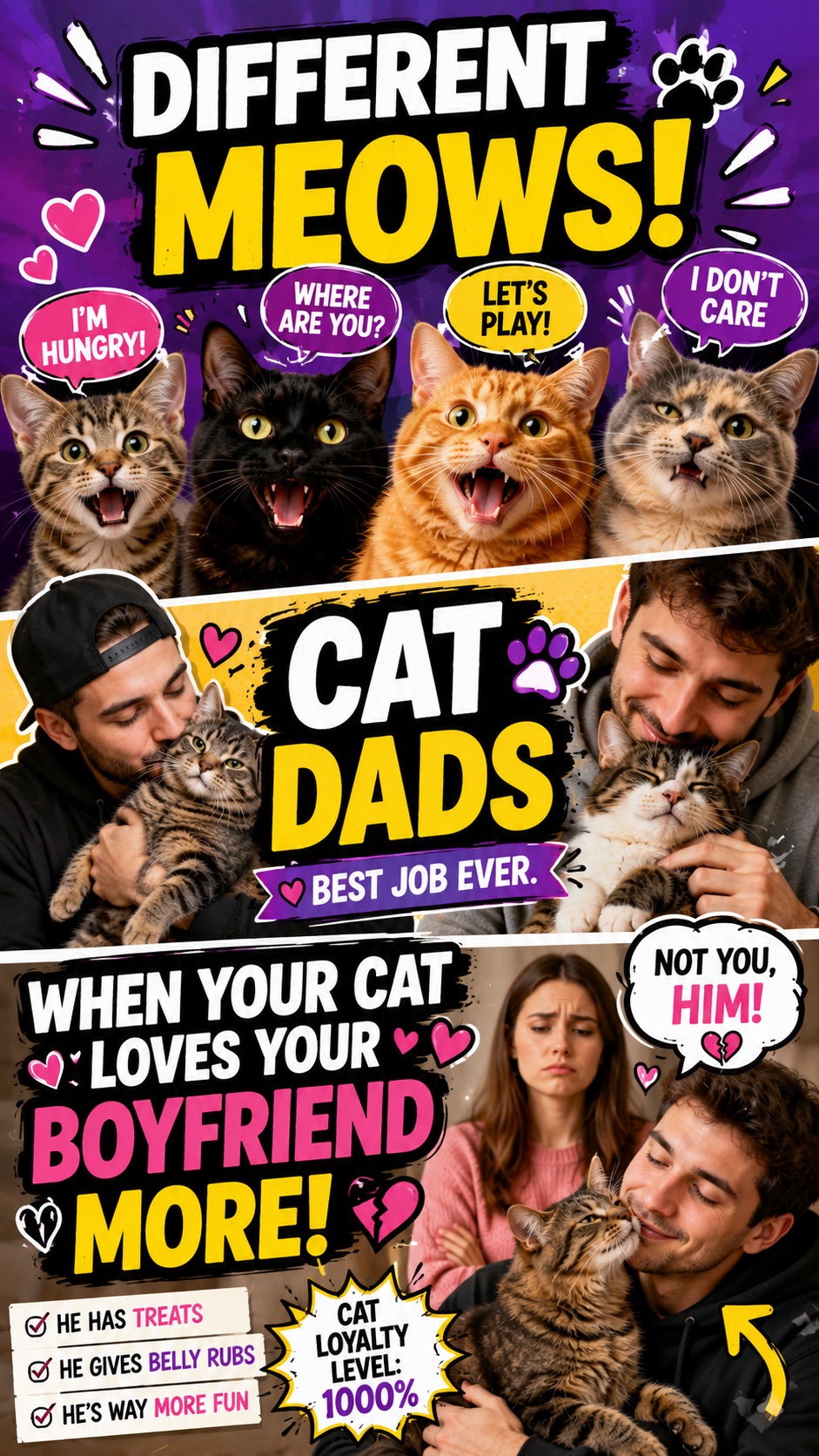Different Meows, Cat Dads & When Your Cat Loves Your Boyfriend More