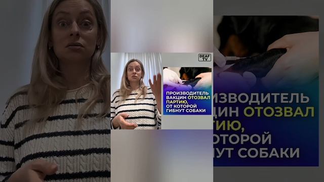 МИР ВИДЕО ДЛЯ ГЛУХИХ 24 АВГУСТА 2ЧАСТЬ