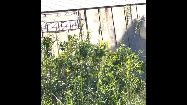 Такую Турцию туристы не видят 🇹🇷 | Камни с гор падают прямо на дорогу Мертвый город
