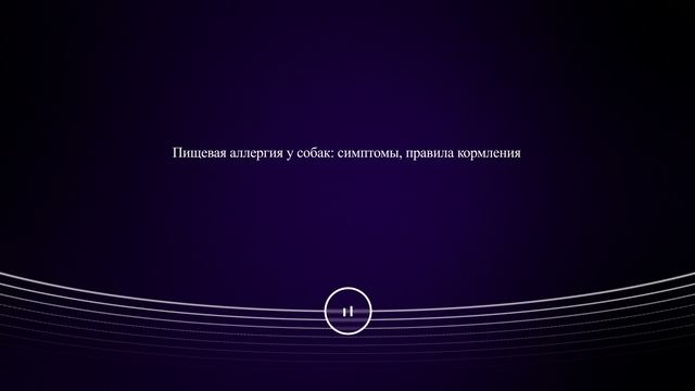Пищевая аллергия у собак: симптомы, правила кормления