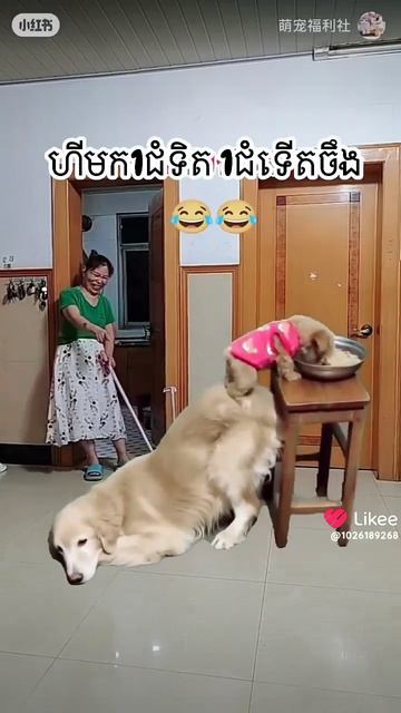 а у нас идёт обед