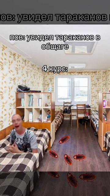 2 сезон общага меллстрой