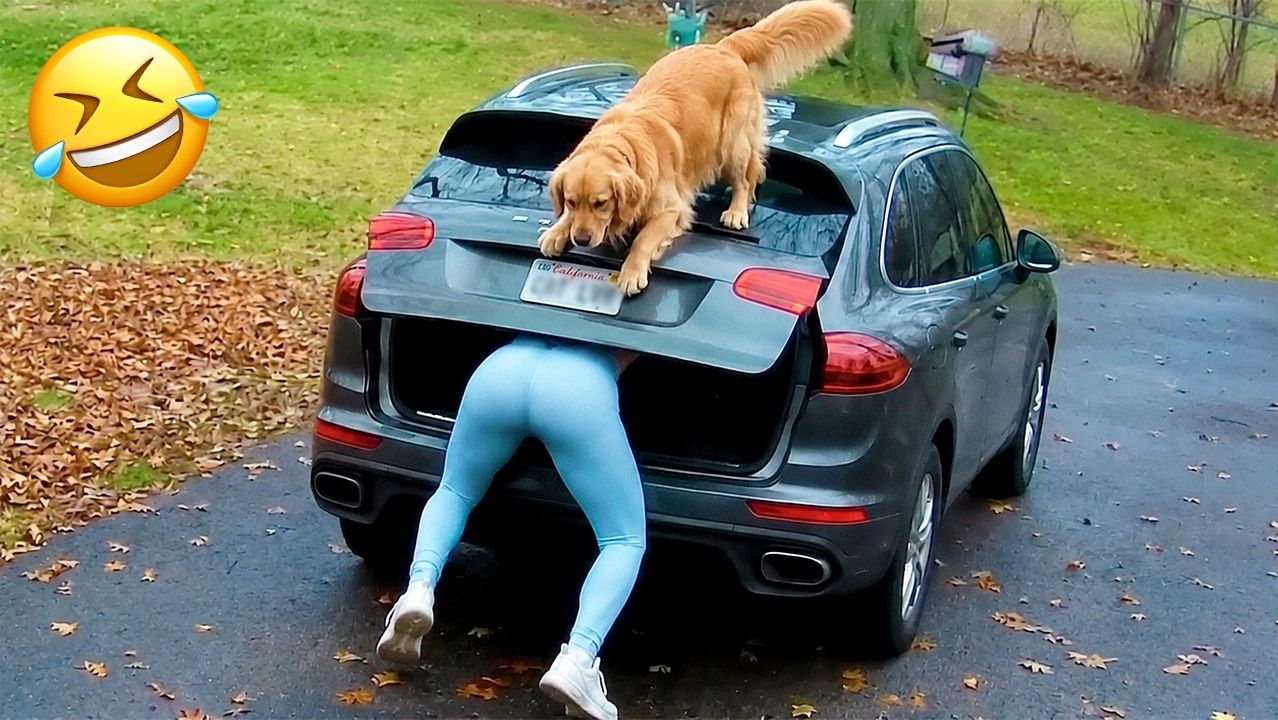 Я ржал до слёз: самые угарные приколы недели 😂