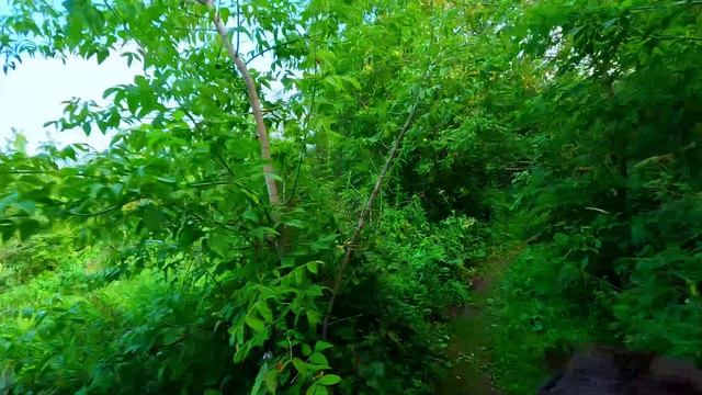 видео прогулка на велосипеде 11
