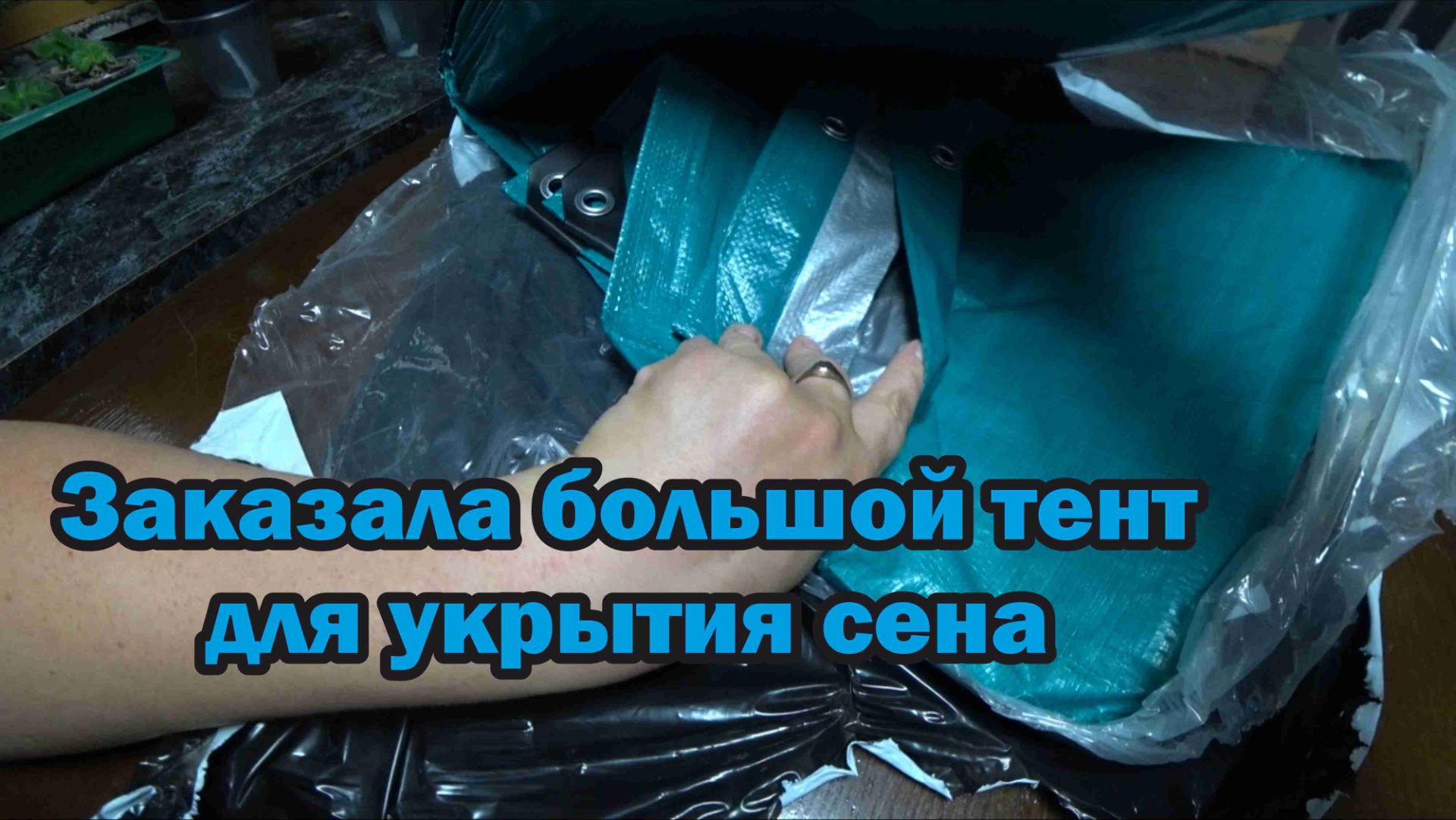 Обзор покупок с маркетплейсов: закваска для сыра, крышки, желатин, брюки спортивные, тент
