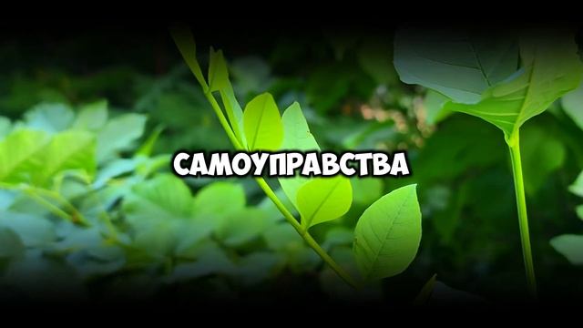 Свекровь выставила невестку с двумя сумками. Вечером сын пришёл в квартиру и обомлел от увиденного