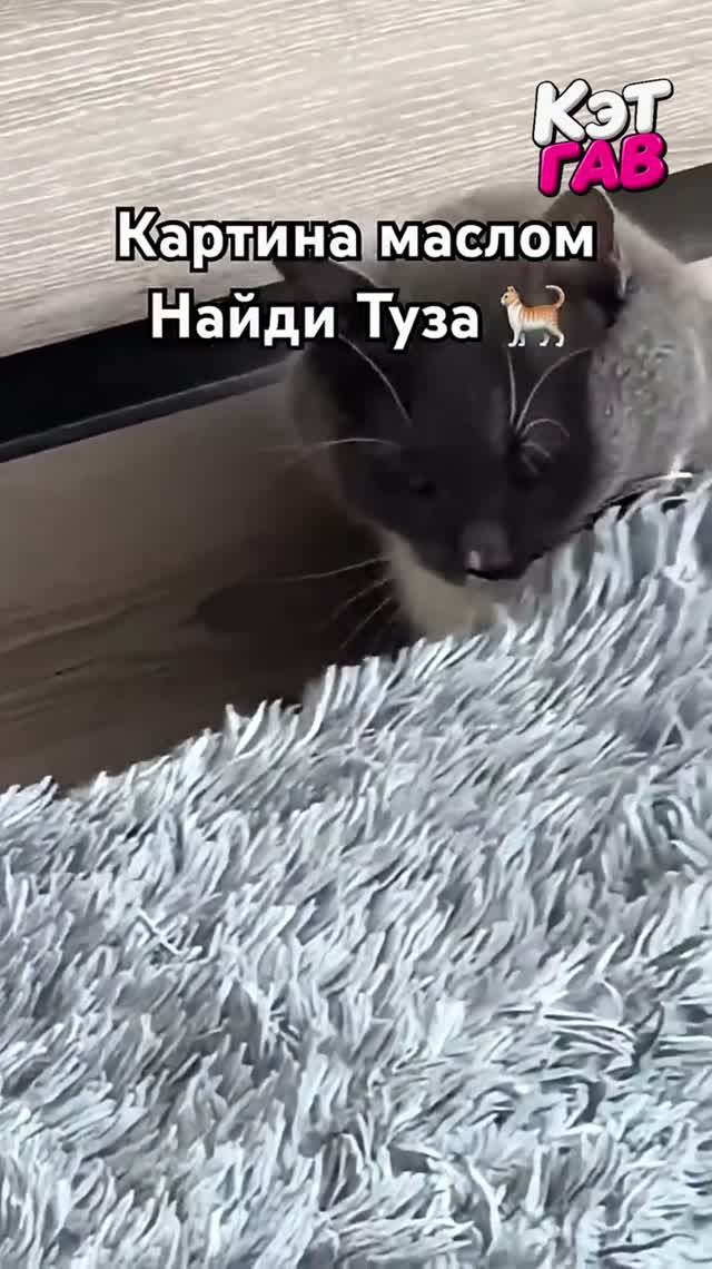Котики такие наивные