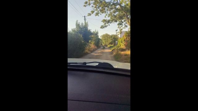 Дорога  обзор участка