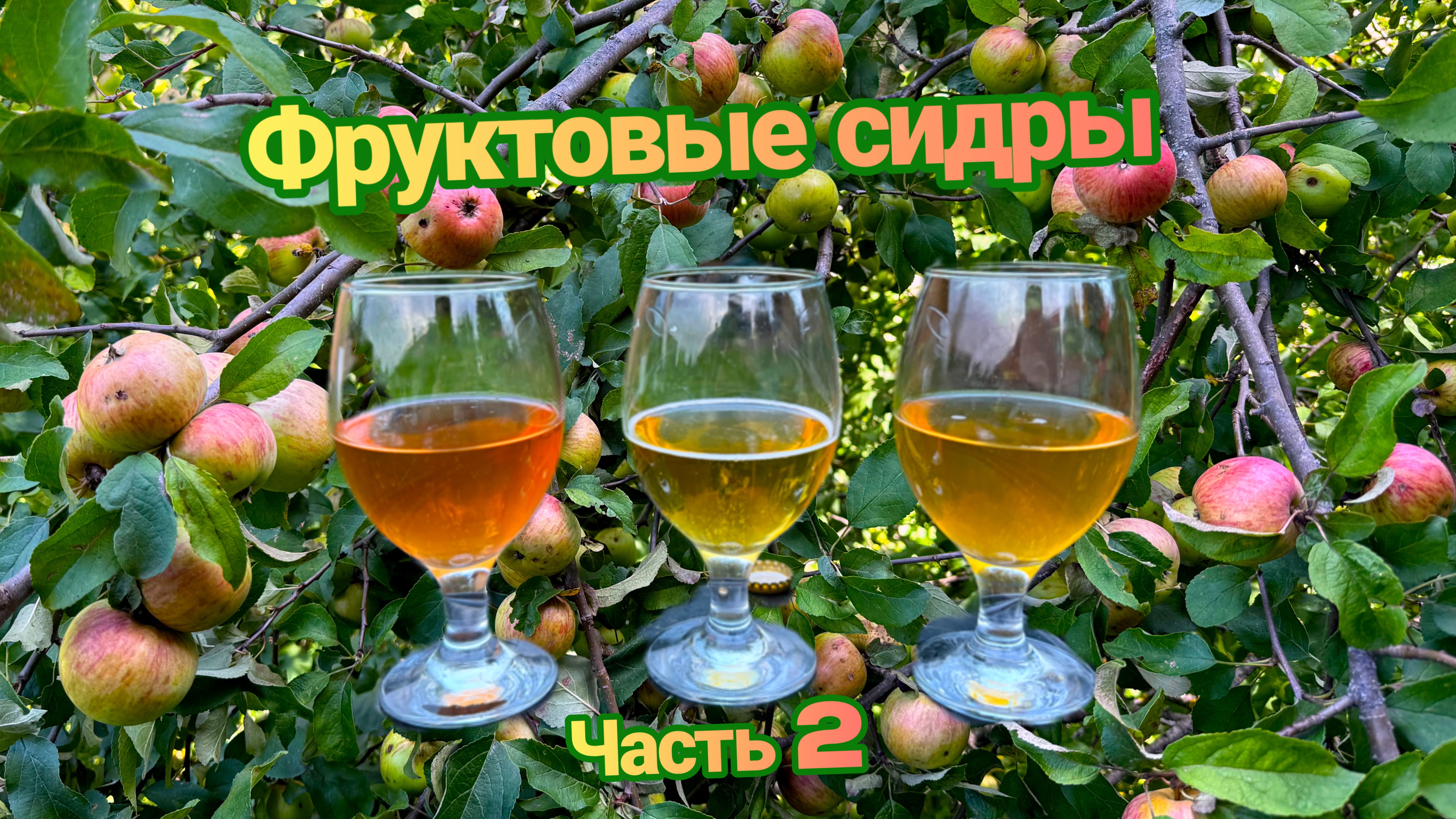 Сидры и яблочные вина