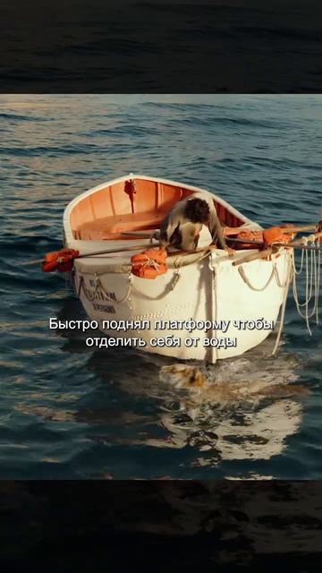 Краткий пересказ фильма 🔥🔥🔥