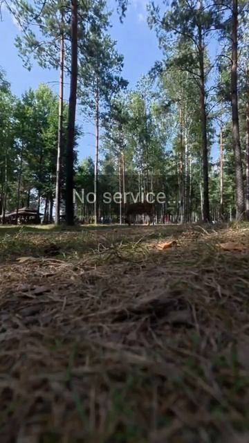 Перезагрузились перед осенью. Спасибо, Беларусь, за гостеприимство, бескрайние поля  и счастбе.