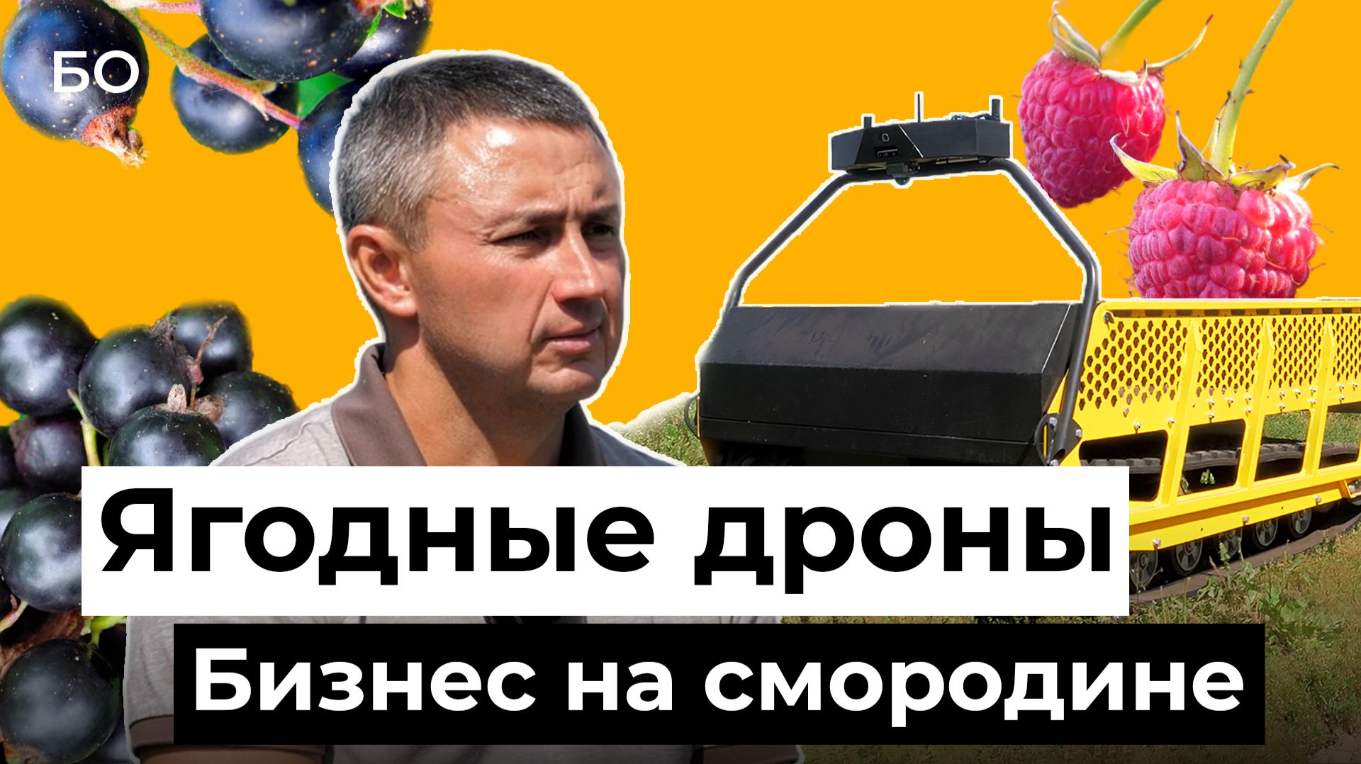 Дрон для ягодных плантаций. Как фермер из Татарстана развивает бизнес на смородине и малине