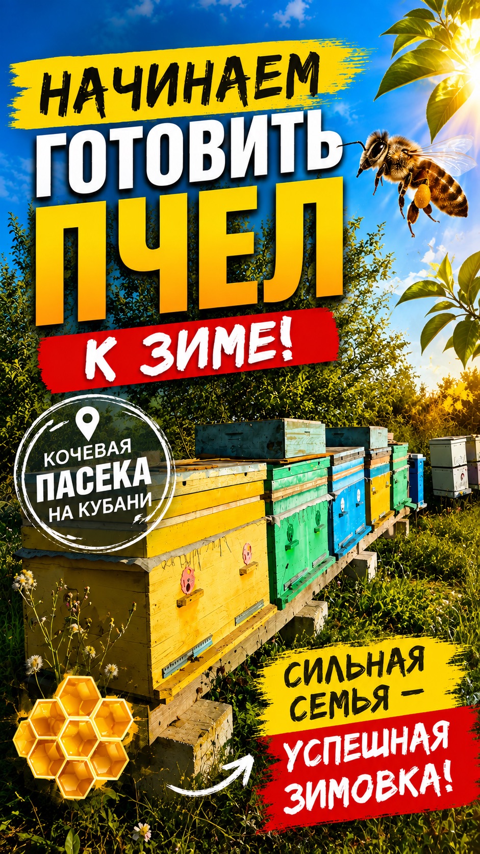 Начинаем готовить пчел к зиме. Пасека на Кубани. 22 августа 2026