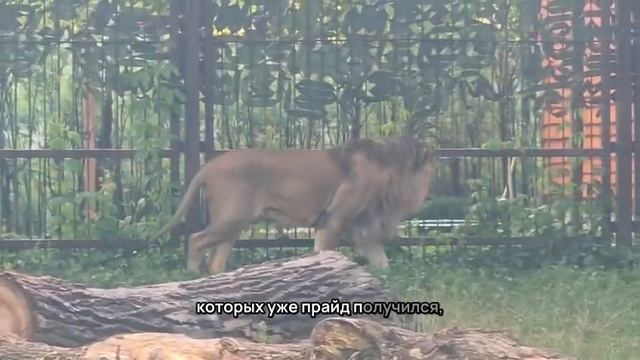 XNCW6259_24.08.2026_Видео от Светланы