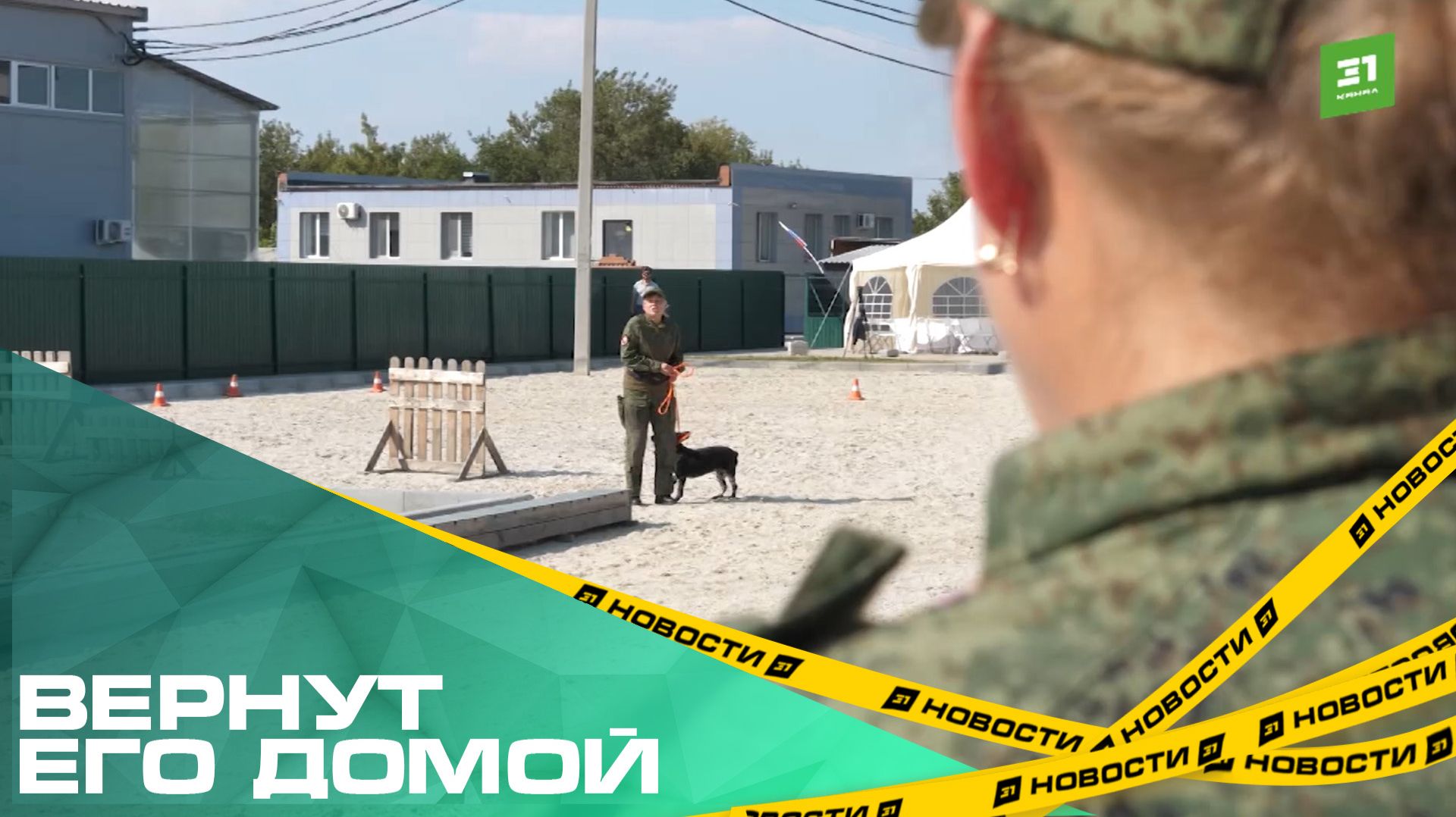 Вернут его домой. Служебные собаки из Челябинска находят пропавших на передовой солдат