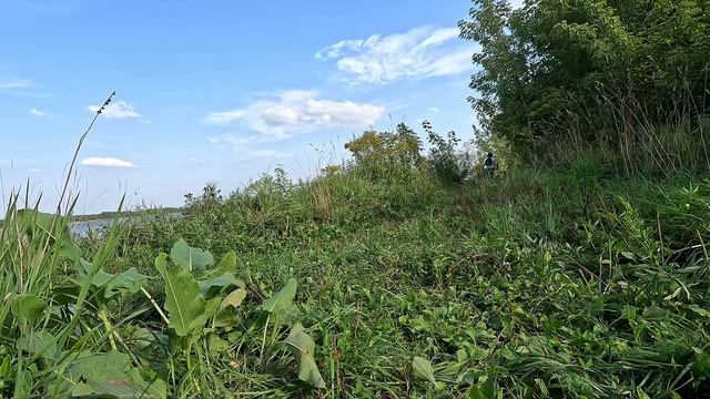 качюсь по оврагу реки