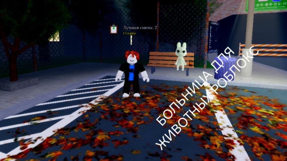 ВПЕРВЫЕ ИГРАЮ В БОЛЬНИЦУ ДЛЯ ЖИВОТНЫХ(показал голос)