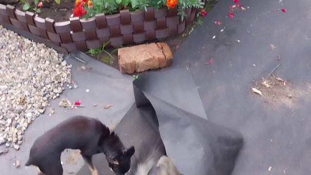 Придумала и сделала.