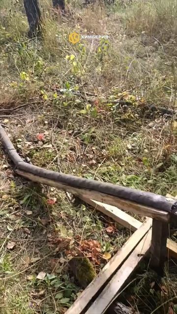 Доверьтесь нам – ваш источник жизни уже ждет!