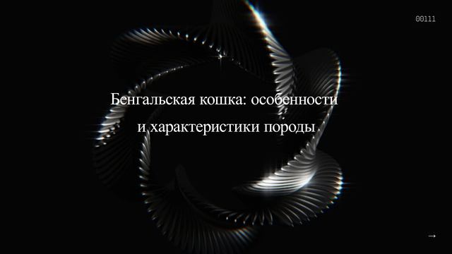 Бенгальская кошка: особенности и характеристики породы