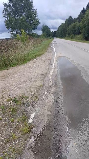 Кривая краевая линия