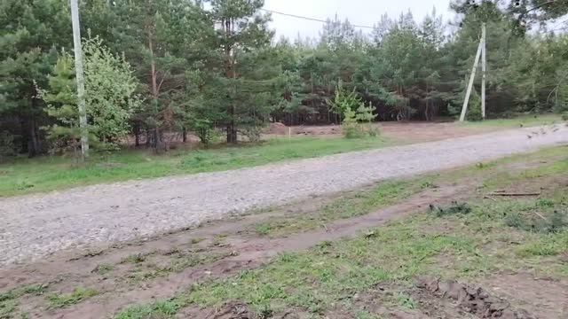 15 мая 2026 - участок 765. Снятие растительного слоя.