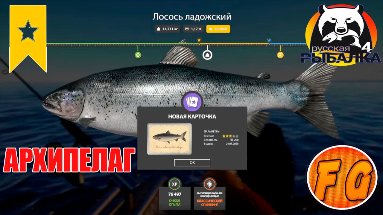ТРОФЕЙ Лосось ладожский. Ладожский архипелаг. Русская рыбалка 4. рр4. Russian Fishing 4