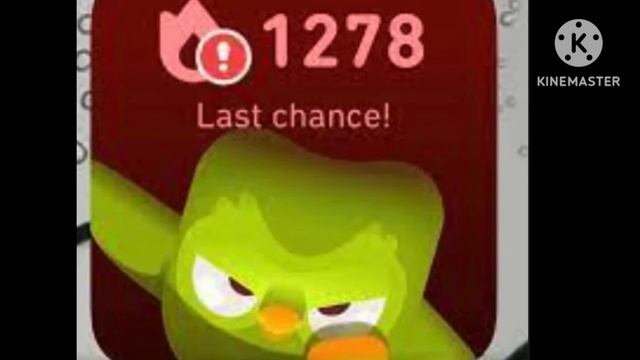 Why I Can See Duo's Widgets? (PART 2) Official Video Of Duolingo Widgets!!!!!!!!