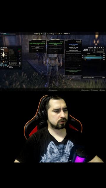 Когда на 60 секунд залетел в The Elder Scrolls Online