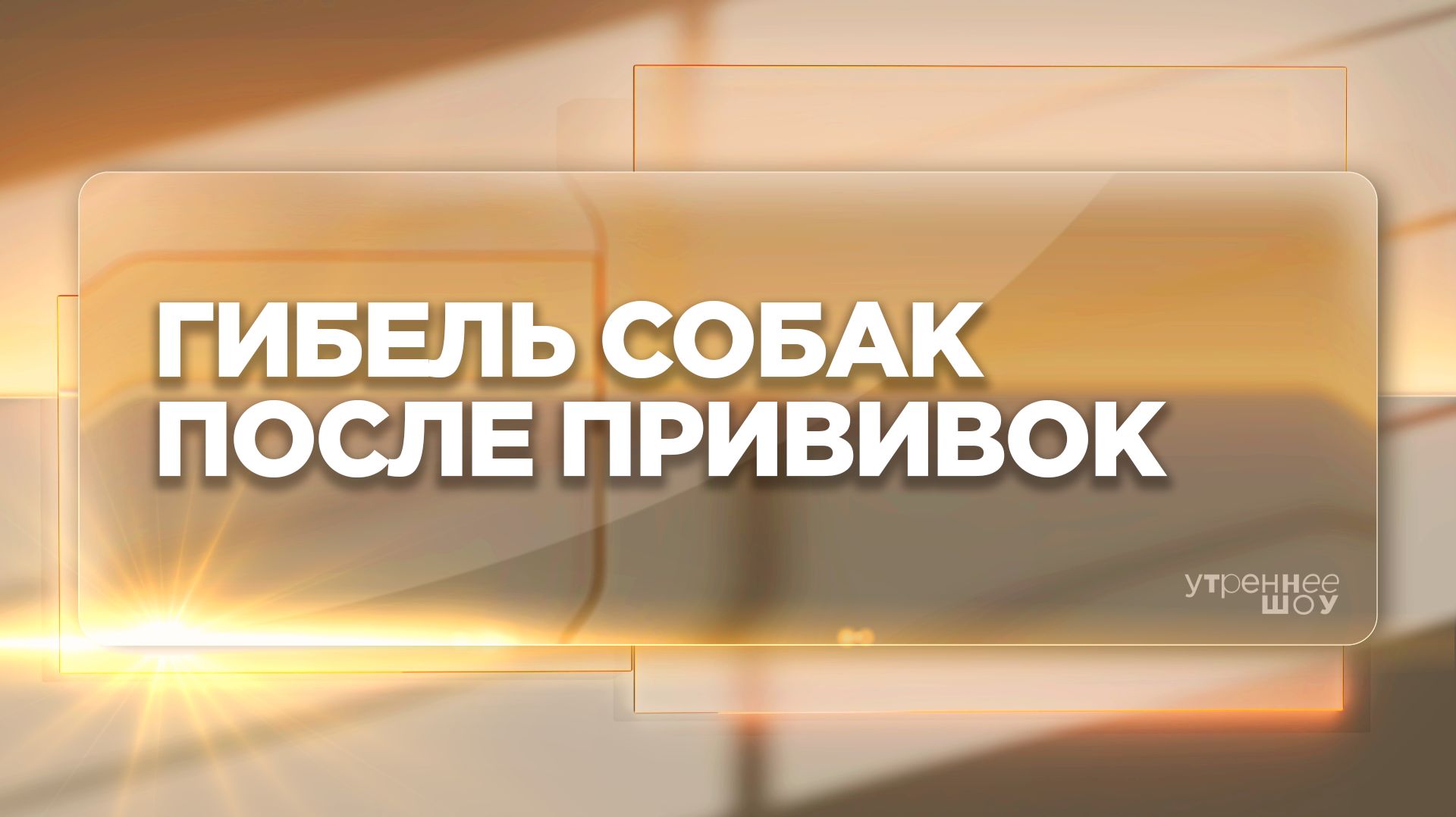 Вакцинация: опасность для собак | Мелита Сотникова, ветеринарный врач интенсивной терапии
