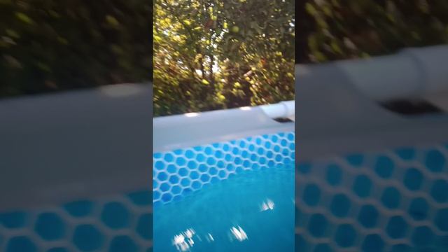 КУПАЕМСЯ В БАССЕЙНЕ 🤣🤣🤣🤣🤣🤣🤣🤣🤣🤣🤣🤣🤣