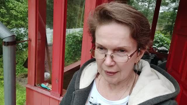 Холодное утро 24 августа.