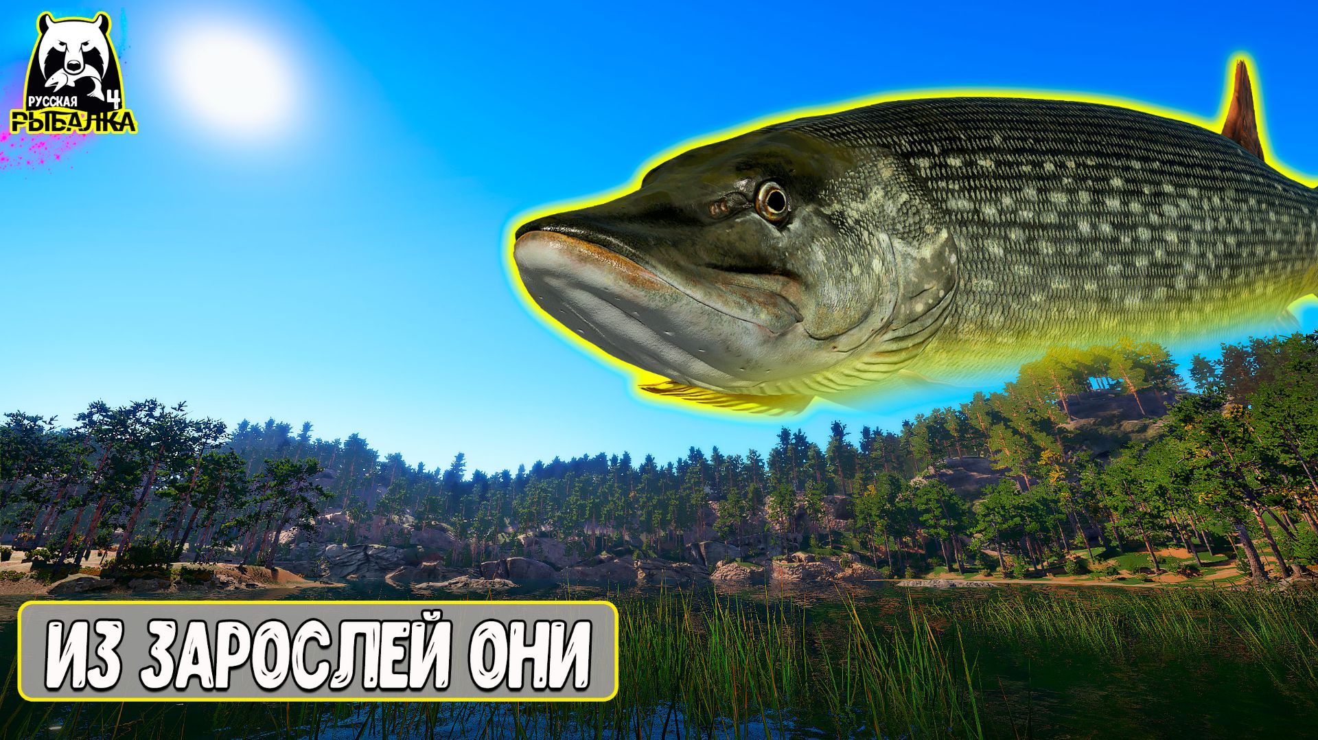 ОНИ ЖДУТ В ЗАРОСЛЯХ И РЕЗКО НАПАДАЮТ #рр4