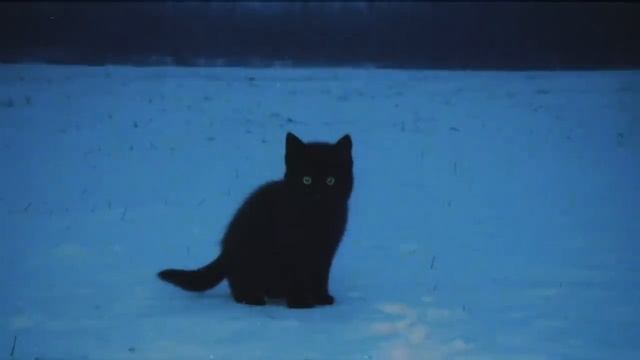 спокойная музыка на задний план