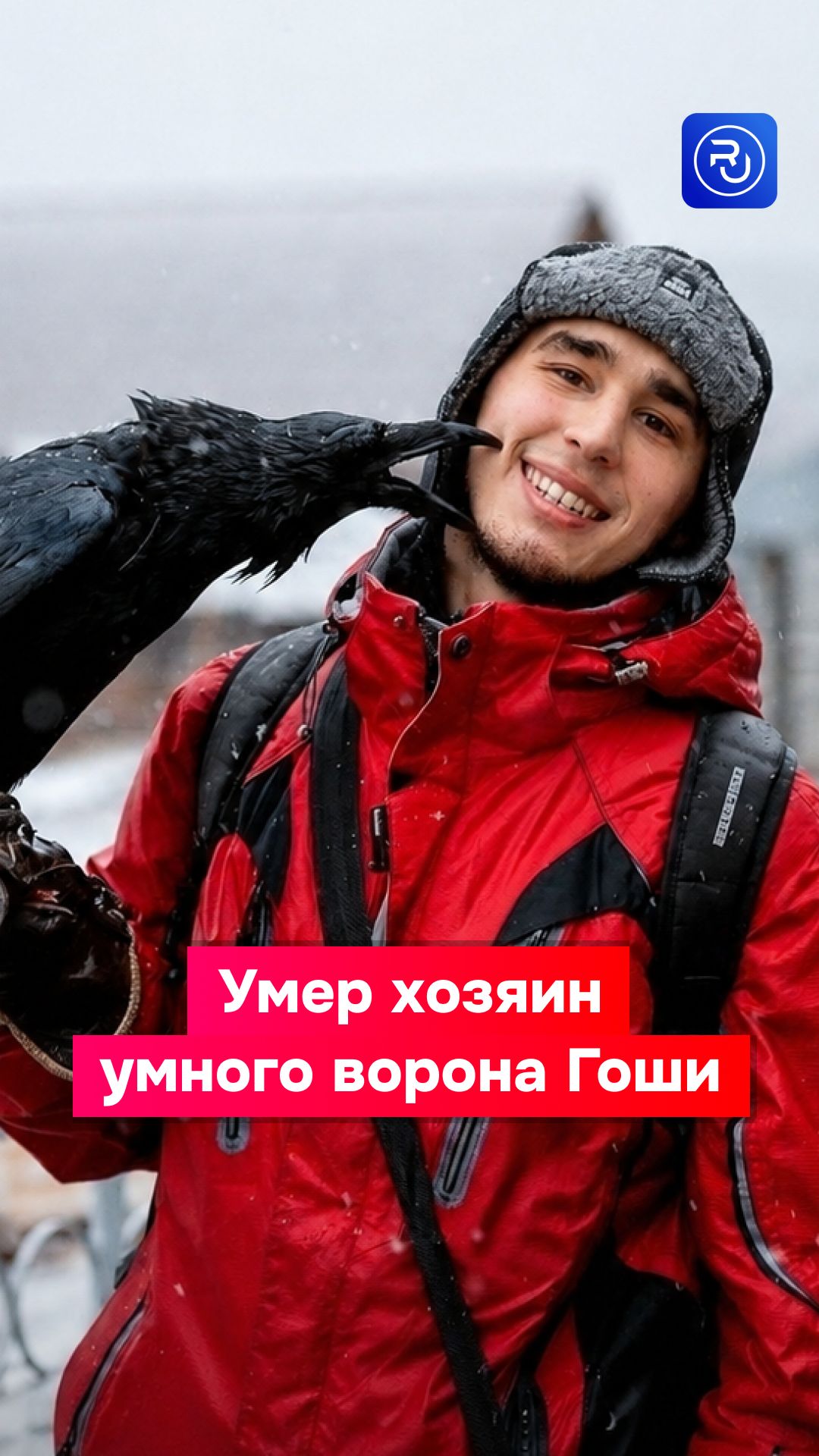 Умер хозяин умного ворона Гоши