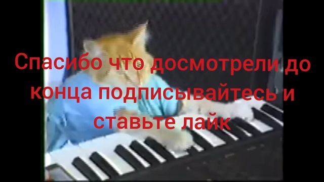 . 15 Саня создал канал в YouTube Пушок