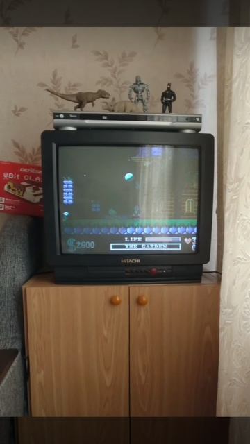 Денди Шортсы