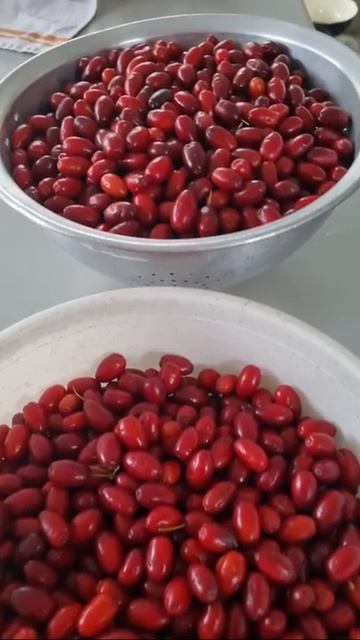 НАШ УРОЖАЙ 👍