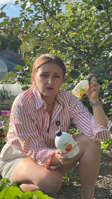 ЧТОБЫ ЯБЛОКИ ЛУЧШЕ ХРАНИЛИСЬ