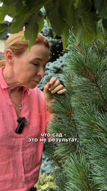 В садоводстве нет ничего невозможного