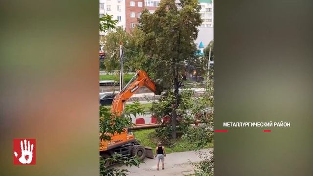 Водитель экскаватора решил необычным образом избавиться от дерева