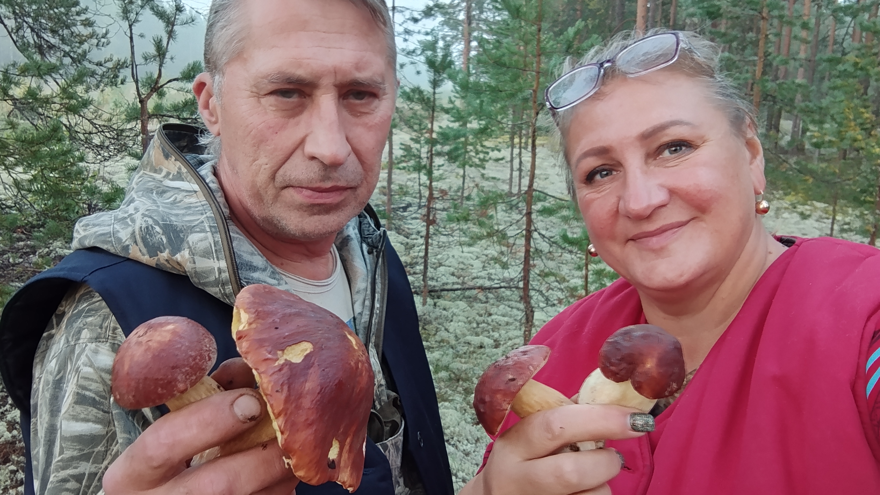 В лес по грибы. 22 августа 2026