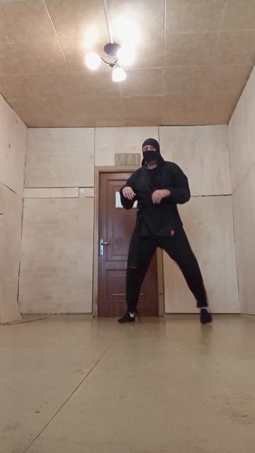 Крайне Северный Ниндзя: 24 Августовское Чудо IV (24.08.2026) Very Nordic Ninja: 24 August Wonder IV